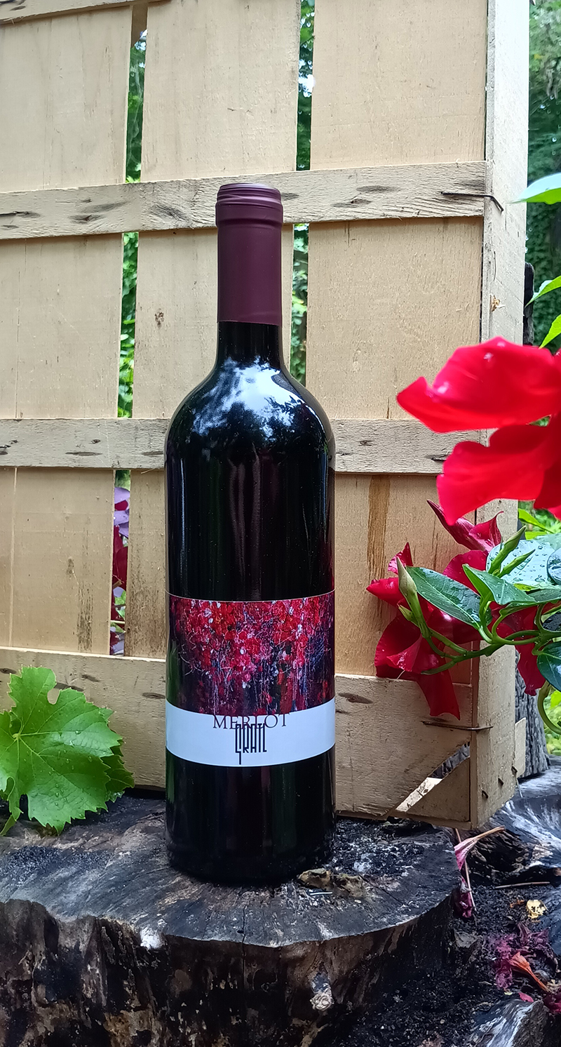 Merlot, 2022, trocken, Weingut Gratl