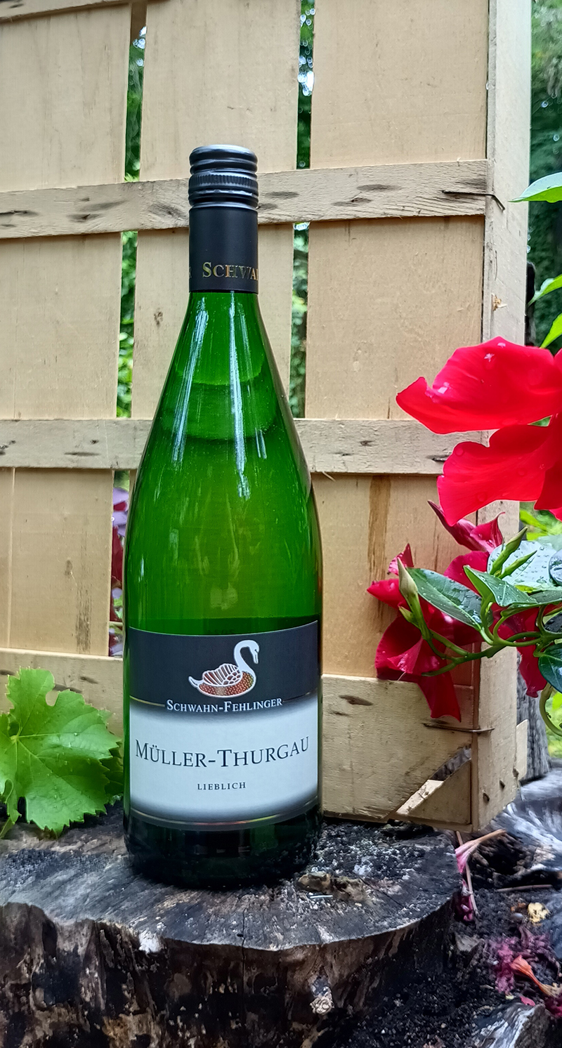 Müller-Thurgau, 2024 ,lieblich- Schwahn- Fehlinger