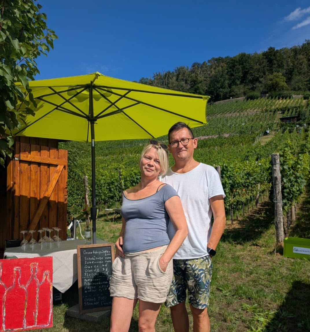 Königlicher Pillnitzer Weinberg – Blick über Terrassen und Reben