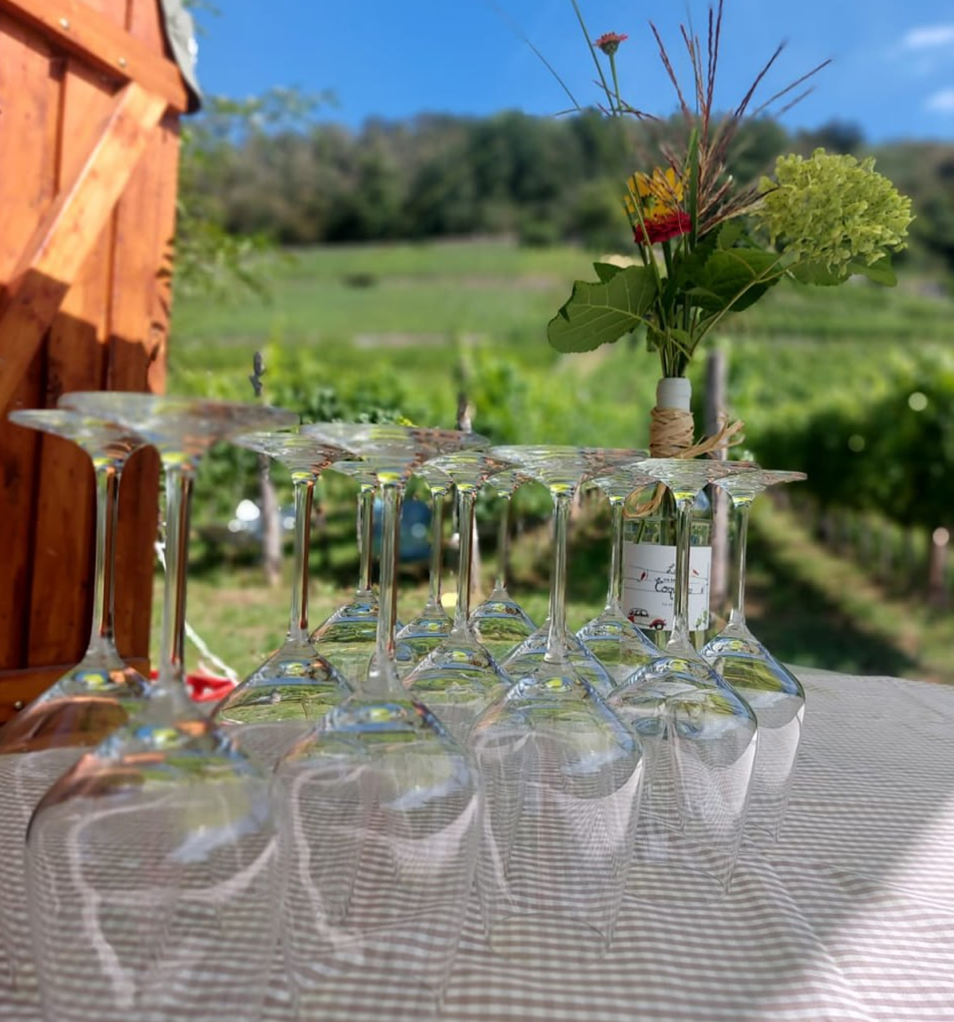 Terrassenmauern und Weinbergstruktur